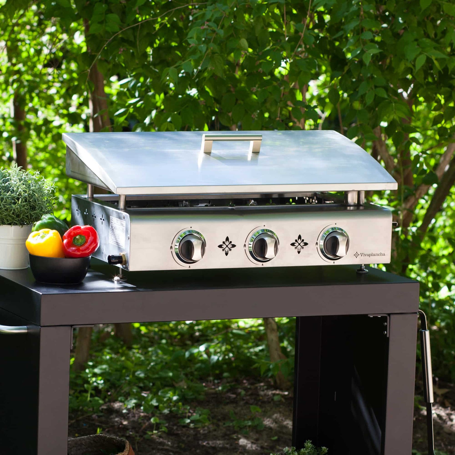 Plancha inox à trois brûleurs avec couvercle relevé en extérieur, posée sur un chariot noir, entourée de verdure et de légumes frais.