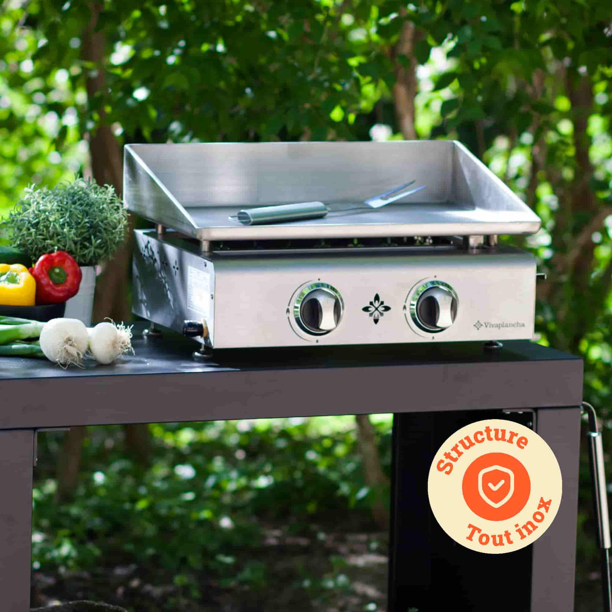 Plancha Vivaplancha in acciaio inox posata su un carrello da esterno, accompagnata da verdure fresche, con un badge “Struttura tutta in acciaio inox” in basso a destra.