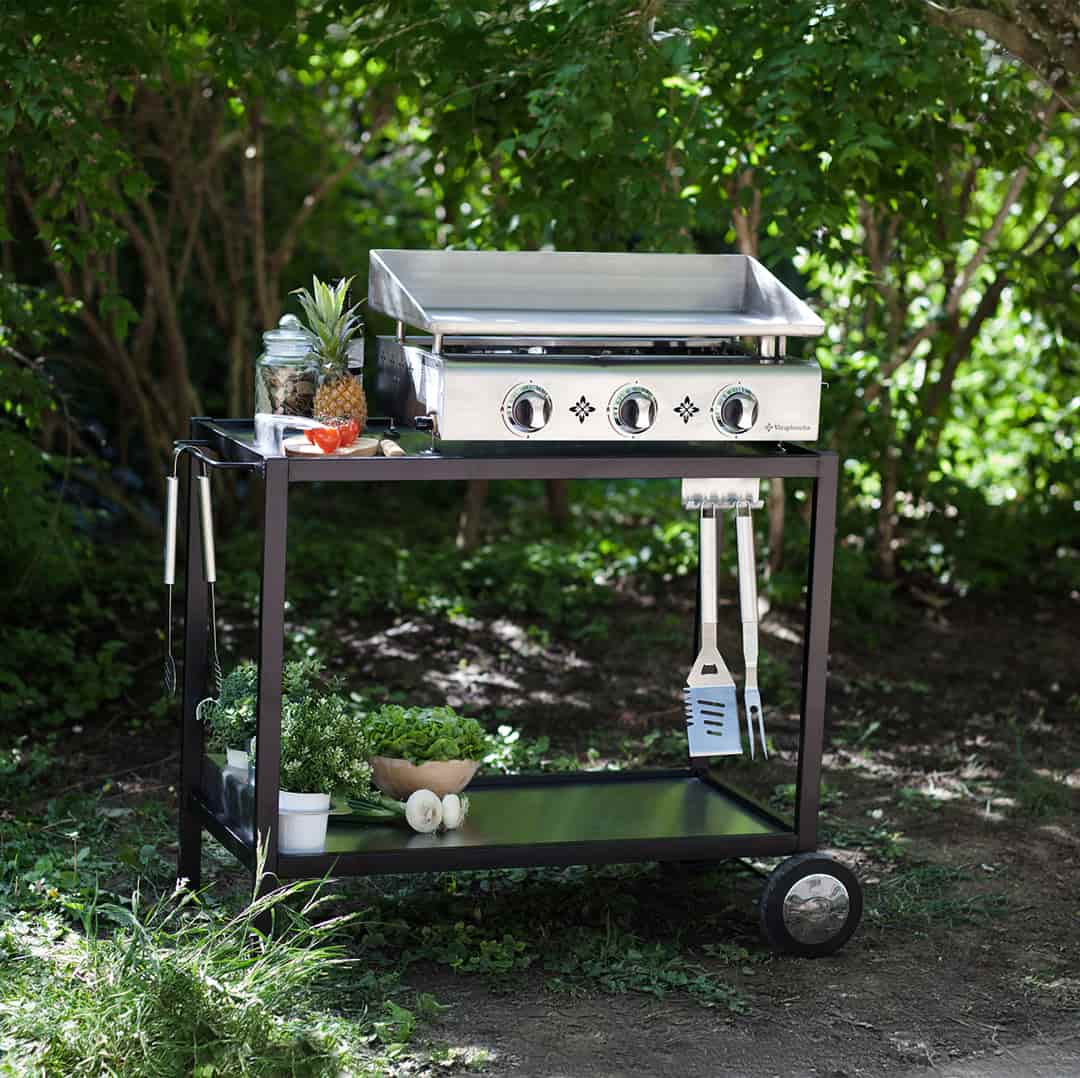 Plancha gaz Vivaplancha modèle Pimientos 3 feux en inox posée sur une desserte extérieure, entourée de verdure avec légumes et accessoires de cuisine.
